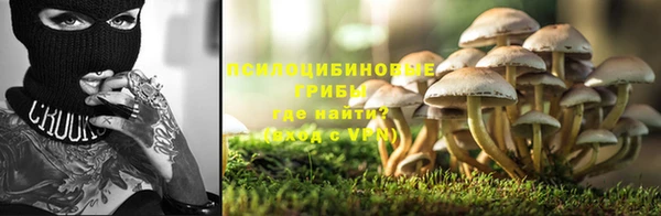 гашик Нязепетровск