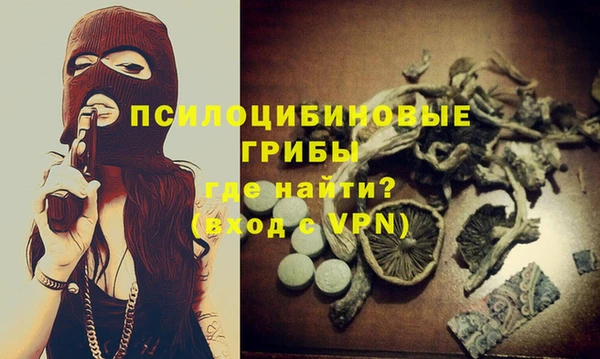 прущая мука Няндома